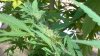 WP_20160825_10_15_38_Pro.jpg