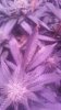 20160827_195847.jpg 20160827_195847.jpg