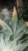20160827_233445.jpg