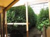 IMG_1079.JPG