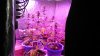 IMG_20160826_150320.jpg