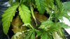 20160829_234156.jpg 20160829_234156.jpg