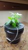 20160830_171228.jpg