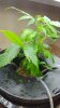 20160830_171233.jpg
