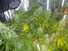 20160830_195053.jpg