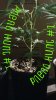 PicsArt_08-19-11.37.48.jpg