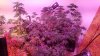 20160831_220524.jpg