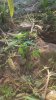 20160830_093311.jpg
