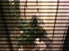 Picture 013.jpg