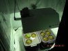 Grow028.jpg