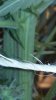 20160830_220508.jpg