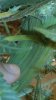 20160830_220601.jpg