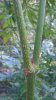 WP_20160901_001.jpg