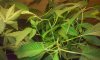20160902_131815.jpg