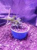20160903_193227.jpg