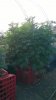 WP_20160904_010.jpg