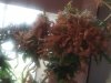 20160904_134136.jpg