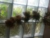 20160904_134126.jpg