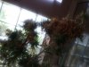 20160904_134108.jpg