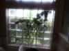 20160904_134059.jpg