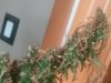 20160904_134019.jpg