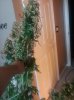 20160904_133954.jpg