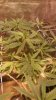 20160904_234358.jpg 20160904_234358.jpg