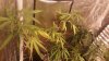 20160904_234433.jpg 20160904_234433.jpg