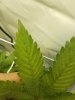 20160906_141423.jpg