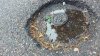 20160831_083224.jpg