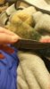 20160910_223558.jpg