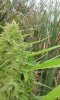 20160910_113546.jpg
