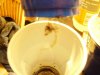 FEB 25 2009 026.jpg