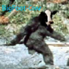 upload_2016-9-14_9-34-26.png