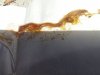 20160913_134909.jpg
