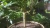 20160916_092557.jpg