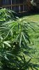 20160916_085539.jpg 20160916_085539.jpg