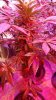 20160917_070328.jpg