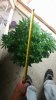 20160919_065610.jpg