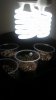 20160920_095449.jpg