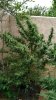 IMG_20160920_154733.jpg