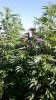 20160903_105005_resized.jpg