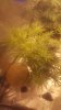 20160921_191100.jpg