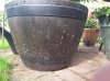 20160922_140223.jpg