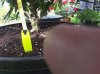 20160922_140243.jpg