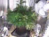 20160922_145753.jpg