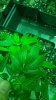 20160922_150029.jpg