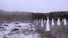 image.gif