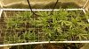 20160923_003808-cleaned.jpg