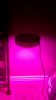 20160923_214716.jpg